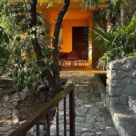 Vida Apartament